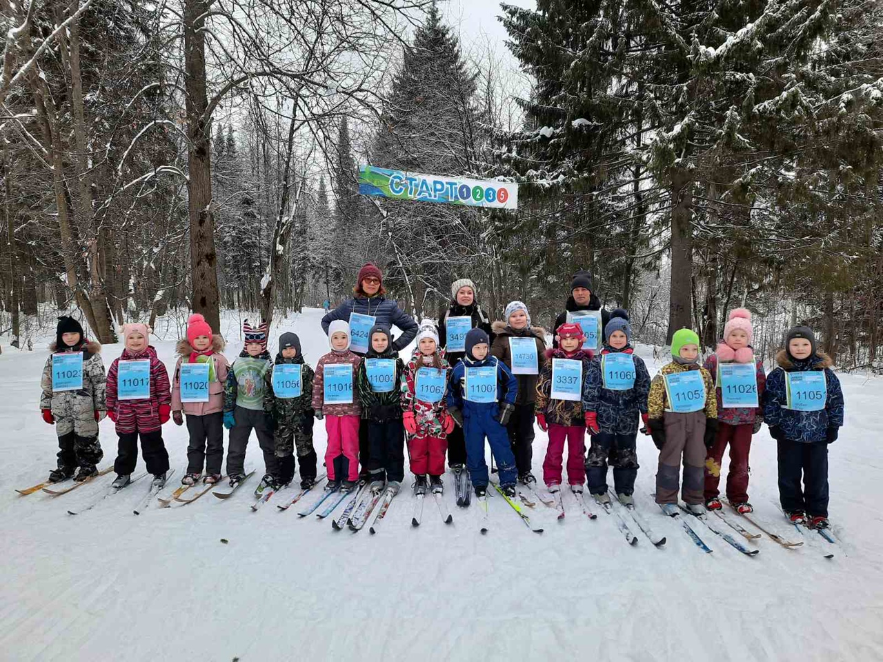 Волосатых Анастасия Александровна