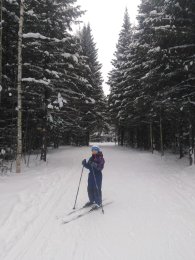 Вершинин Николай Дмитриевич