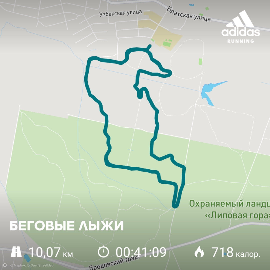 Дружинин Илья Михайлович