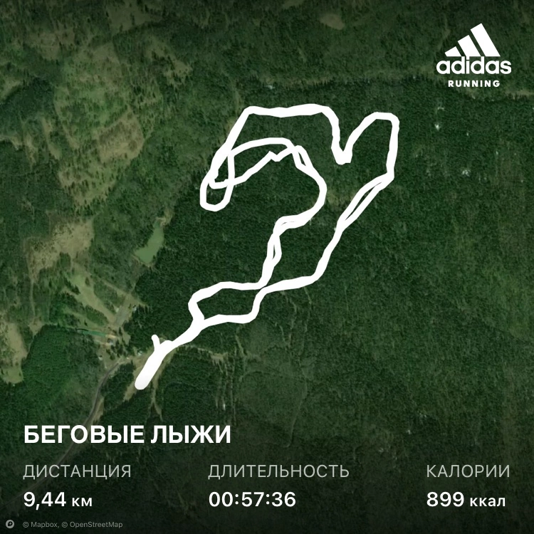 Борисов Илья Александрович